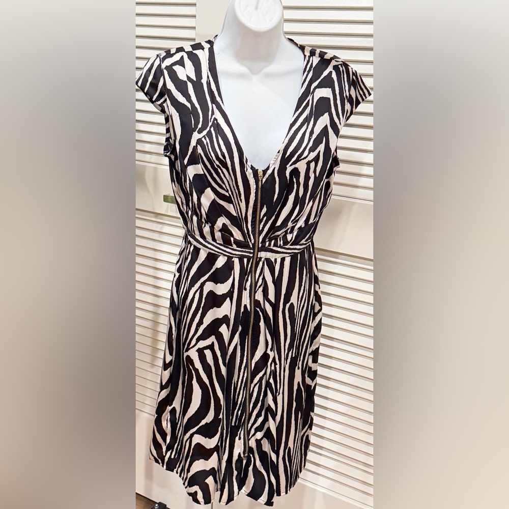 H&M Monochrome Zebra Pattern Dress
